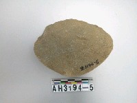 藏品(礫石石片器)的圖片